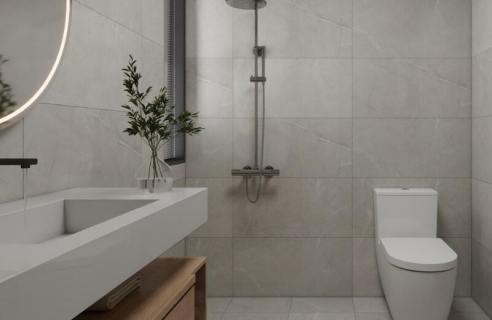 衛(wèi)生間哪些沒(méi)必要多花錢(qián)？都有哪些細(xì)節(jié)要注意？